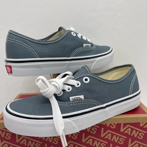 Vans Men’s Authentic Color Theory Stormy WeatherVN000EGARV2 Sneakers